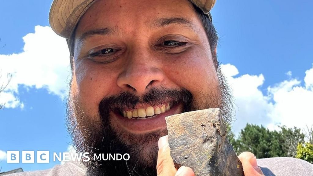 Cuando algo cae del cielo, comienza la acción: el próspero mundo de los cazadores de meteoritos que venden por miles de dólares