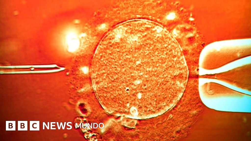 Donante de esperma con gen cancerígeno concebe casi 200 niños: "Algunos desarrollaron tumores y varios han fallecido"