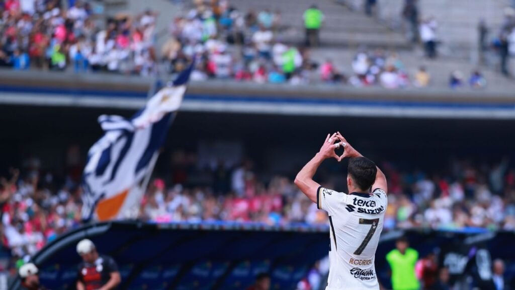 Los Pumas renacen al volver a sus raíces tras una autoexplosión.