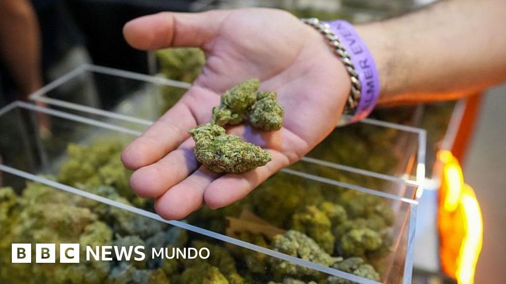 Trump transforma la política de drogas en EE.UU. al facilitar el acceso a la marihuana