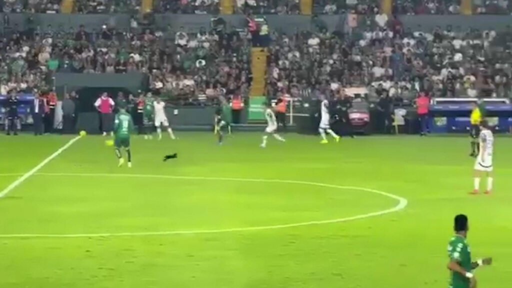 Un gato negro se atraviesa y provoca la salida de James Rodríguez, mientras Sergio Ramos sufre una lesión.